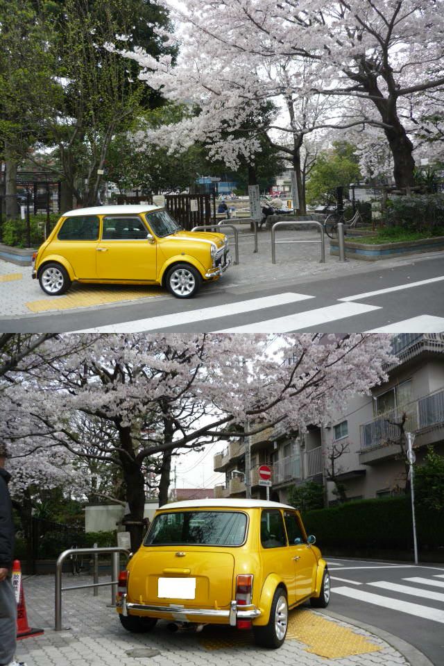 イメージ 1