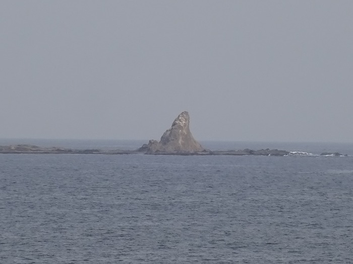 DSC02454
