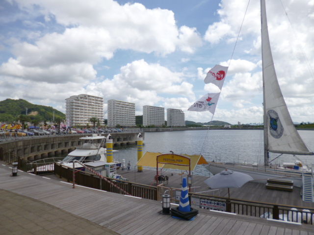 イメージ 7