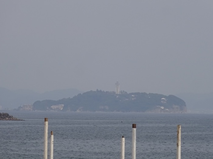 DSC02455