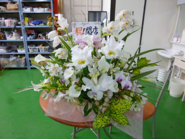 イメージ 2