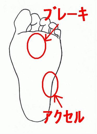 イメージ 6