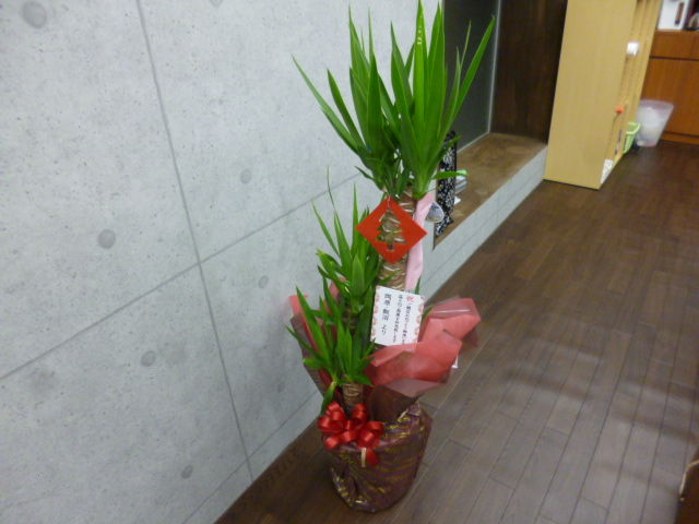 イメージ 1